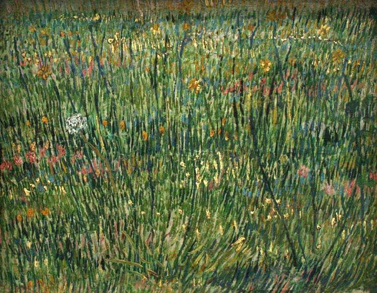 Vincent Van Gogh Patch of Grass China oil painting art